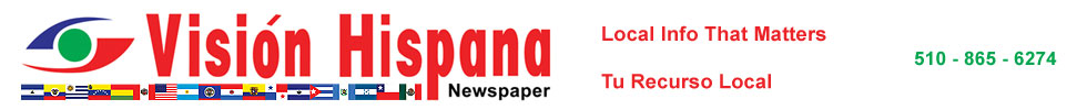 Vision Logo