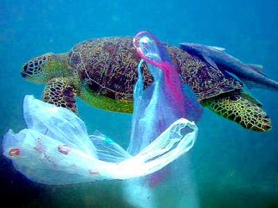 Estudios indican que el consumidor estadounidense promedio se lleva a casa casi 1,500 bolsas de plástico al año. Estados Unidos utiliza solo una vez 100 billones de bolsas de plástico anualmente; en todo el mundo, el número alcanza más de 1 trillón de bolsas.