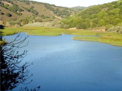 Lake Chabot  Regional  Park  se encuentra en 17600 Lake Chabot Road, Castro Valley.