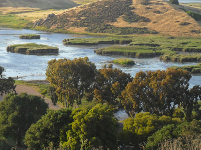 Coyote Hills in Fremont - East Bay Regional Parks District