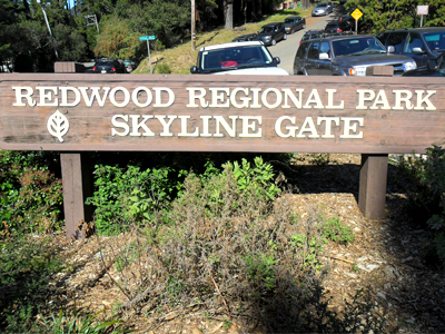 El parque regional Redwood se encuentra en las colinas de Oakland y ofrece unos caminos maravillosos en los que se puede disfrutar de maravillosas vistas.