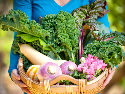 La Mesa Verde es parte de un creciente grupo de organizaciones del Silicon Valley que buscan conectar a los residentes con las raíces agrícolas de la región y ampliar el acceso a alimentos frescos y saludables.