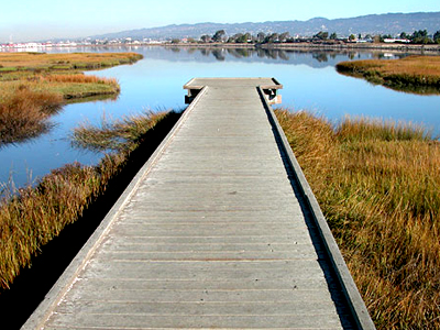 1.	Martin Luther King Jr. Regional Shoreline en Oakland