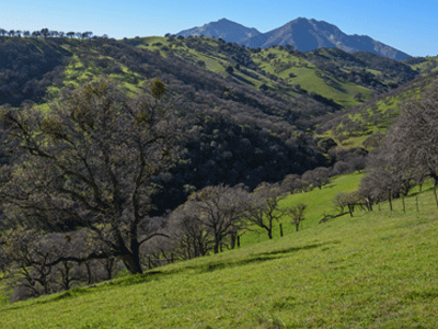 El Distrito de Parques Regionales del Este de la Bahía compro una propiedad de 76 acres de lo que era un rancho a la ladera este de Mt. Diablo. La parcela, conocida como Hanson Hills, abarca cañones y crestas cubiertas de bosques de roble azul y pastizales nativos, así como un arroyo estacional que drena en Marsh Creek. También es hogar de águilas, halcones, coyotes, pumas, ciervos, zorros y otras especies.