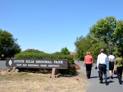 Un terreno con naturaleza virgen de casi 300 acres que se encuentra adyacente al Parque Regional Coyote Hills en Fremont fue donado por los herederos de George y Clara Patterson, residentes importantes del sur del Condado de Alameda a medidos de 1850s.    