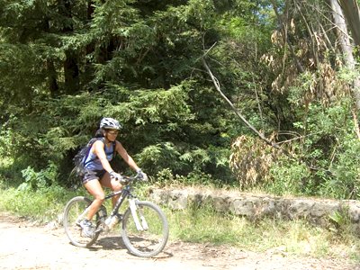 A lo largo del Distrito de Parques, el límite de velocidad en bicicleta es de 15 mph. Los ciclistas deben anunciarse al rebasar a un senderista o a un jinete. Foto: EBRPD