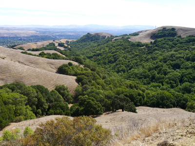 El Distrito de Parques compró la propiedad de la familia Wiedemann por $2,048,000. El impresionante terreno virgen conectará Bishop Ranch Open Space Preserve con el Parque Regional de Dublín Hills y proporcionará un enlace crítico al popular Calaveras Ridge Trail.