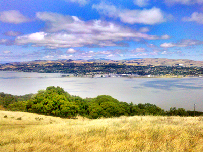 Carquinez Shoreline