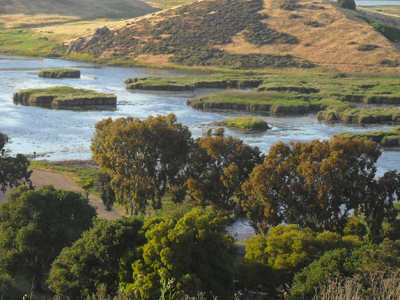 El Parque Regional Coyote Hills en Fremont ofrece la oportunidad de hacer picnics y también de disfrutar de una caminata con excelentes vistas del pantano y de la bahía.