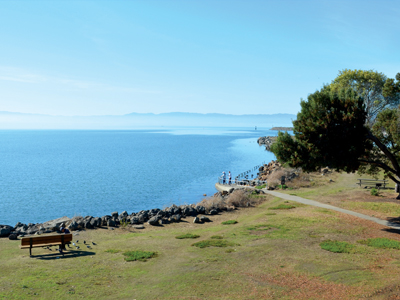 El Distrito de Parques Regionales del Este de la Bahía (EBRPD) será el nuevo propietario de un importante terreno de la Avenida McKay en Alameda lo que expandirá la popular Crown Memorial State Beach.