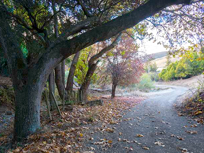 El parque Garin y el parque Dry Creek Pioneer están uno junto al otro en las colinas de Hayward. 