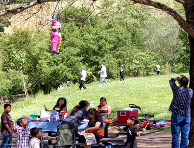 Many families, friends and individuals in the East Bay enjoy local parks and their facilities every week. 