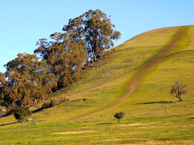 Parques Regionales Garin / Dry Creek Pioneer en Hayward