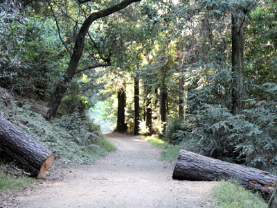 East Bay Hills Thru-Hike & Ride is a 5-day hike that includes entertainment by an equestrian drill team and a trip to the Chabot Space and Science Center to look through their big telescopes. 