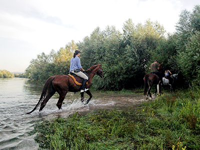 Horse riding around Sinj.